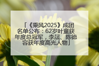 《乘风2025》成团名单公布：62岁叶童获年度总冠军，李晟、陈德容获年度高光人物