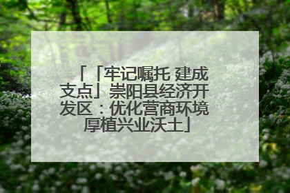 「牢记嘱托 建成支点」崇阳县经济开发区：优化营商环境 厚植兴业沃土