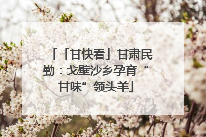 「甘快看」甘肃民勤：戈壁沙乡孕育“甘味”领头羊
