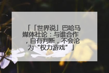 「世界说」巴哈马媒体社论：与谁合作，自有判断，不会沦为“权力游戏”