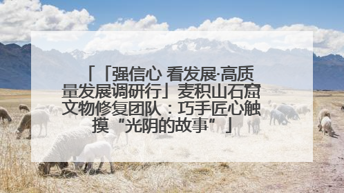 「强信心 看发展·高质量发展调研行」麦积山石窟文物修复团队：巧手匠心触摸“光阴的故事”