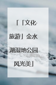 「文化·旅游」金水湖湿地公园风光美