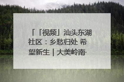 「视频」汕头东湖社区：乡愁归处 希望新生｜大美岭南·百村焕新记