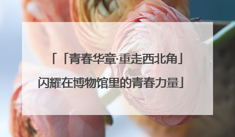 「青春华章·重走西北角」闪耀在博物馆里的青春力量
