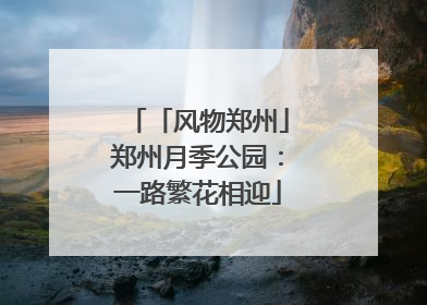 「风物郑州」郑州月季公园：一路繁花相迎
