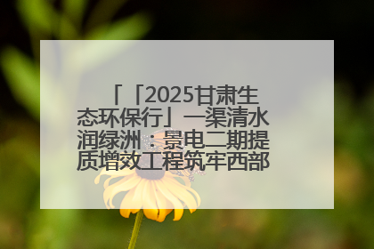 「2025甘肃生态环保行」一渠清水润绿洲：景电二期提质增效工程筑牢西部生态安全屏障