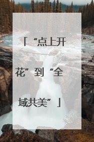 “点上开花”到“全域共美”