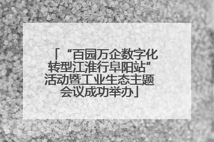 “百园万企数字化转型江淮行阜阳站”活动暨工业生态主题会议成功举办