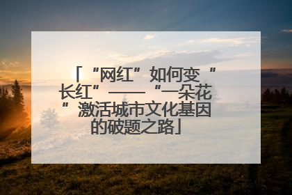 “网红”如何变“长红”——“一朵花”激活城市文化基因的破题之路