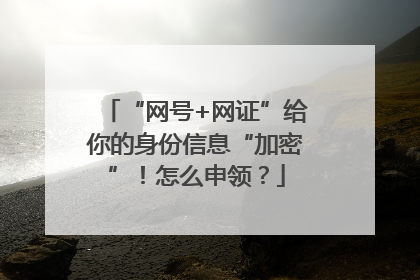 “网号+网证”给你的身份信息“加密”！怎么申领？