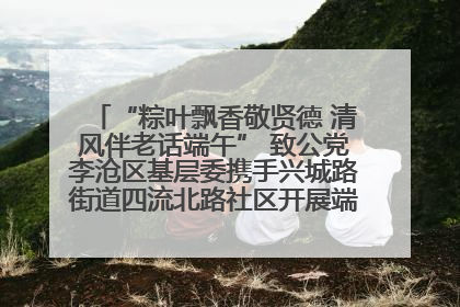 “粽叶飘香敬贤德 清风伴老话端午” 致公党李沧区基层委携手兴城路街道四流北路社区开展端午节主题活动
