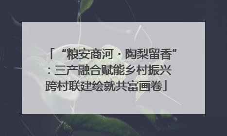 “粮安商河・陶梨留香”：三产融合赋能乡村振兴 跨村联建绘就共富画卷