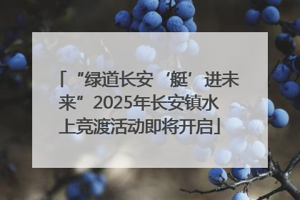 “绿道长安‘艇’进未来”2025年长安镇水上竞渡活动即将开启