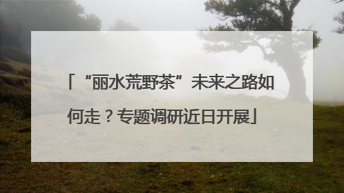 “丽水荒野茶”未来之路如何走？专题调研近日开展