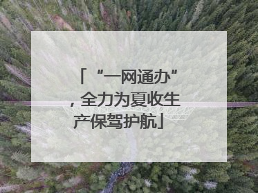 “一网通办”，全力为夏收生产保驾护航