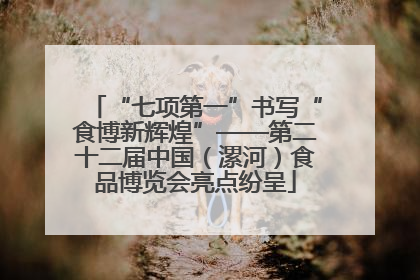 “七项第一”书写“食博新辉煌”——第二十二届中国（漯河）食品博览会亮点纷呈