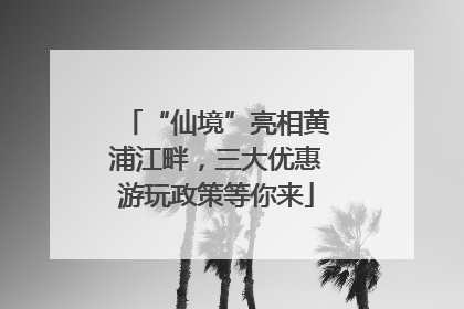 “仙境”亮相黄浦江畔，三大优惠游玩政策等你来