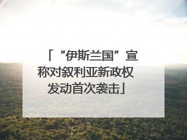 “伊斯兰国”宣称对叙利亚新政权发动首次袭击