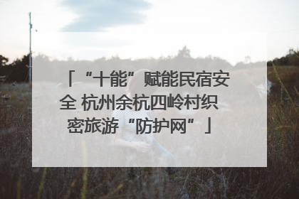 “十能”赋能民宿安全 杭州余杭四岭村织密旅游“防护网”