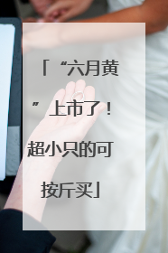 “六月黄”上市了！超小只的可按斤买
