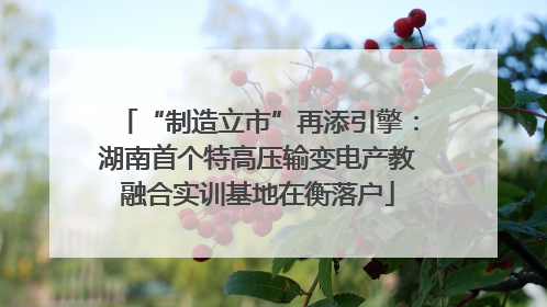 “制造立市”再添引擎：湖南首个特高压输变电产教融合实训基地在衡落户