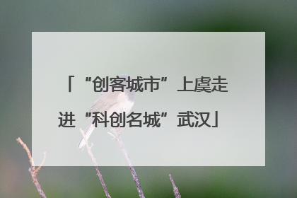 “创客城市”上虞走进“科创名城”武汉