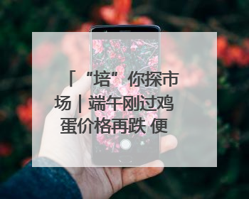 “培”你探市场｜端午刚过鸡蛋价格再跌 便宜鸡蛋还能吃多久？