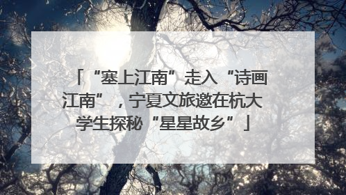 “塞上江南”走入“诗画江南”，宁夏文旅邀在杭大学生探秘“星星故乡”