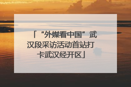 “外媒看中国”武汉段采访活动首站打卡武汉经开区