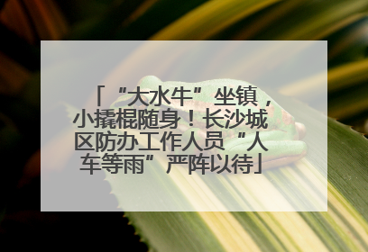 “大水牛”坐镇，小撬棍随身！长沙城区防办工作人员“人车等雨”严阵以待
