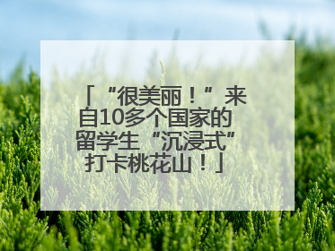 “很美丽！”来自10多个国家的留学生“沉浸式”打卡桃花山！