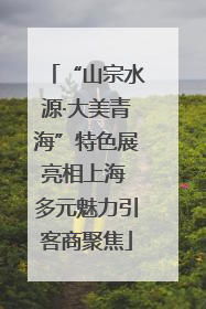 “山宗水源·大美青海”特色展亮相上海 多元魅力引客商聚焦