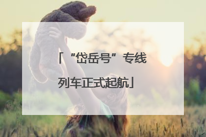 “岱岳号”专线列车正式起航