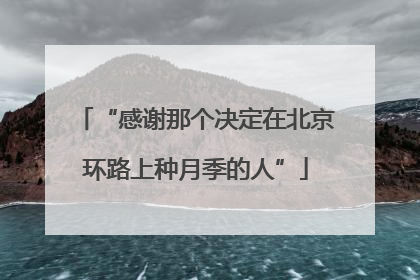 “感谢那个决定在北京环路上种月季的人”