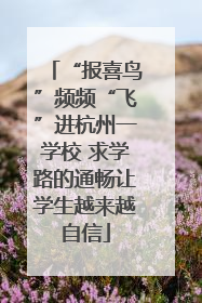 “报喜鸟”频频“飞”进杭州一学校 求学路的通畅让学生越来越自信