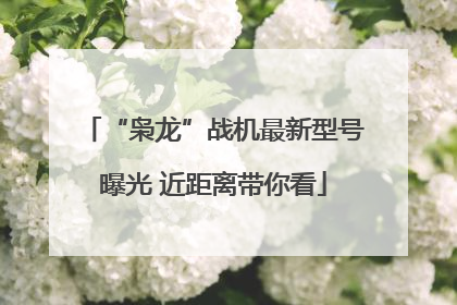 “枭龙”战机最新型号曝光 近距离带你看