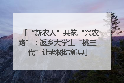 “新农人”共筑“兴农路”：返乡大学生“桃三代”让老树结新果