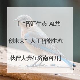 “智汇生态-AI共创未来”人工智能生态伙伴大会在济南召开