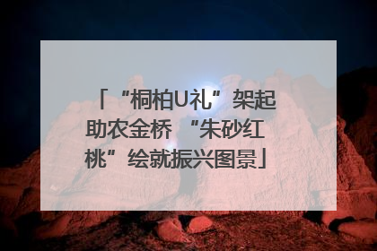 “桐柏U礼”架起助农金桥 “朱砂红桃”绘就振兴图景