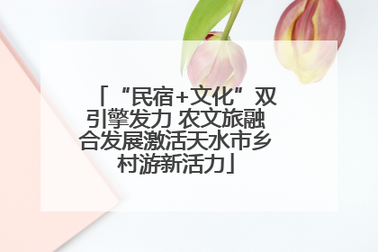 “民宿+文化”双引擎发力 农文旅融合发展激活天水市乡村游新活力