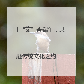 “艾”香端午，共赴传统文化之约