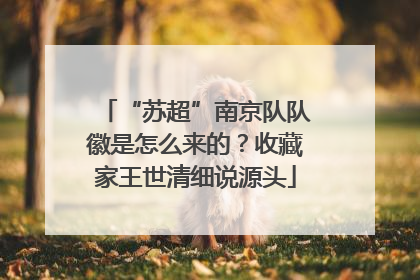 “苏超”南京队队徽是怎么来的？收藏家王世清细说源头