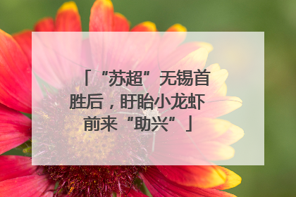 “苏超”无锡首胜后，盱眙小龙虾前来“助兴”