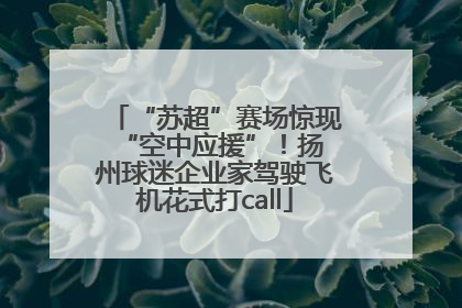 “苏超”赛场惊现 “空中应援”！扬州球迷企业家驾驶飞机花式打call