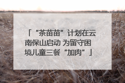 “茶苗苗”计划在云南保山启动 为留守困境儿童三餐“加肉”