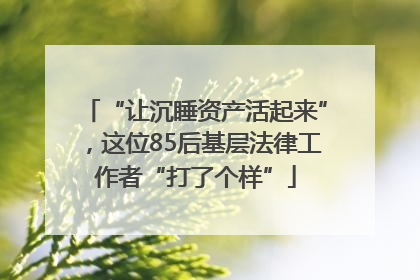 “让沉睡资产活起来”，这位85后基层法律工作者“打了个样”