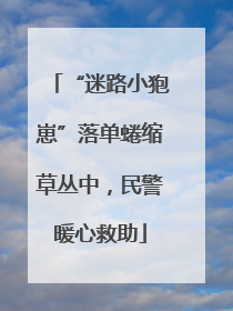“迷路小狍崽”落单蜷缩草丛中，民警暖心救助