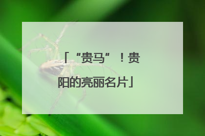“贵马”！贵阳的亮丽名片