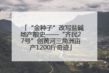“金种子”改写盐碱地产粮史——“齐民27号”创黄河三角洲亩产1200斤奇迹