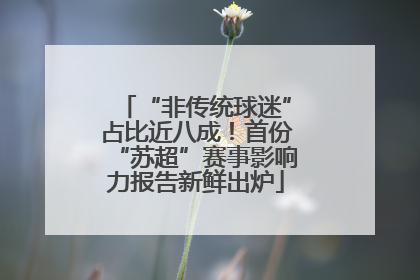 “非传统球迷”占比近八成！首份“苏超”赛事影响力报告新鲜出炉
